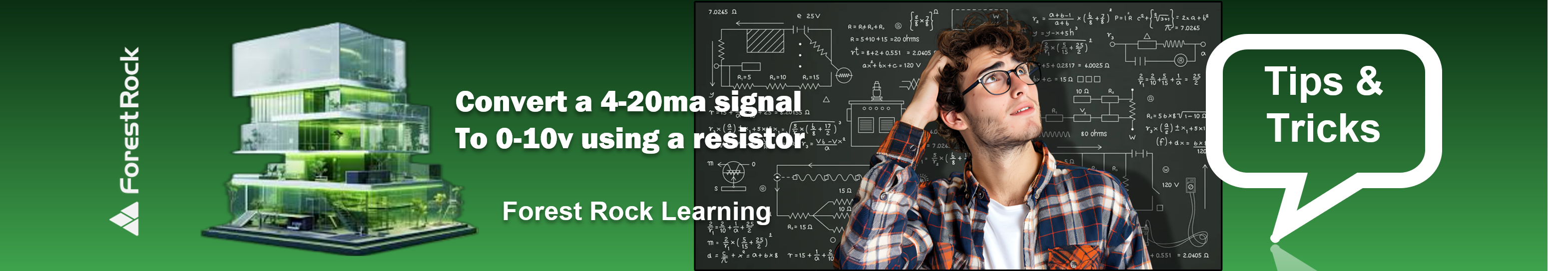 Forest Rock Learning Header.png